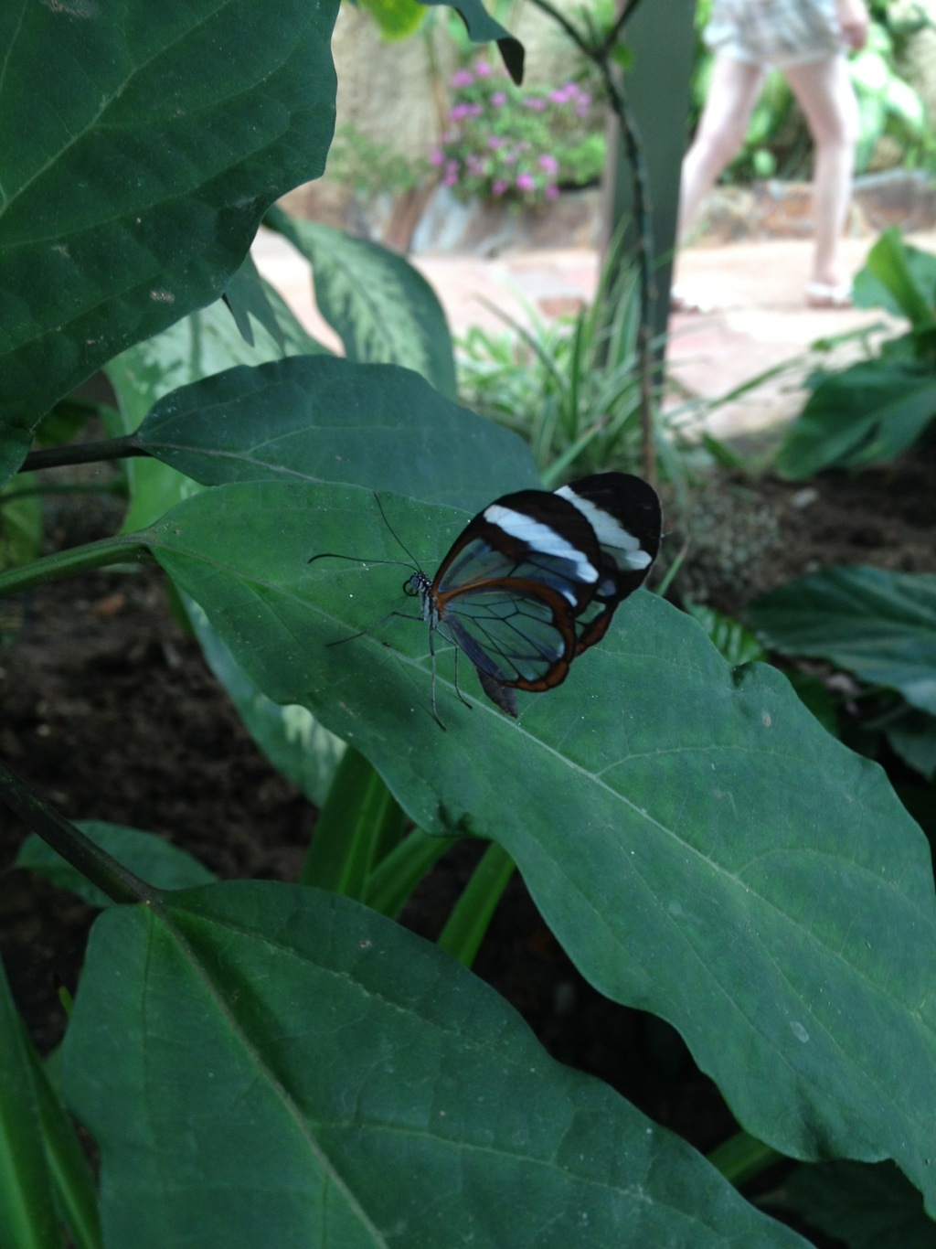 20120714-212418.jpg