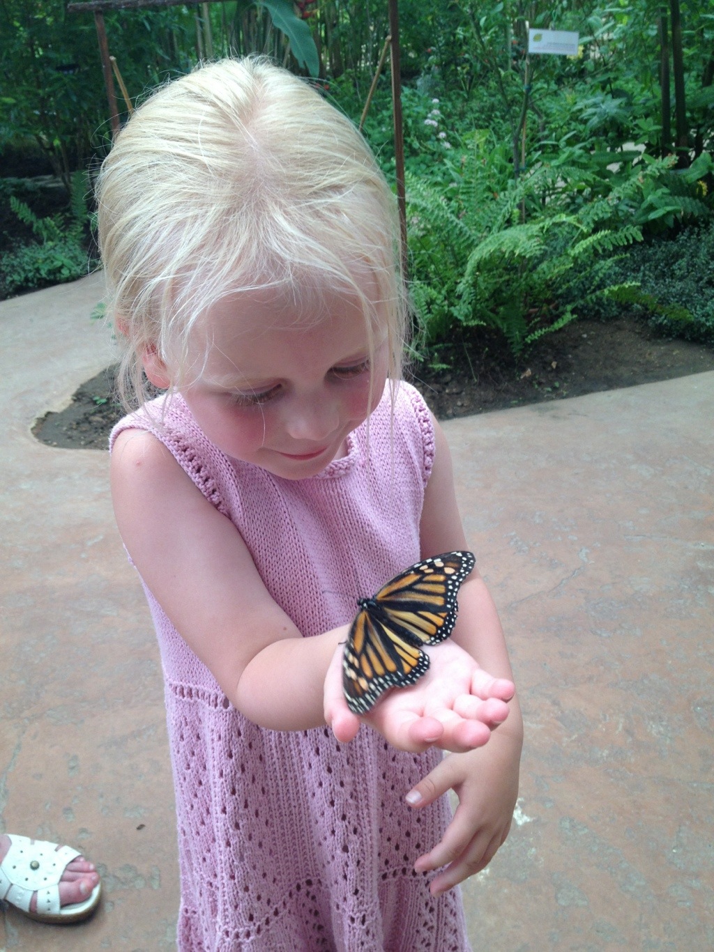 20120714-212445.jpg