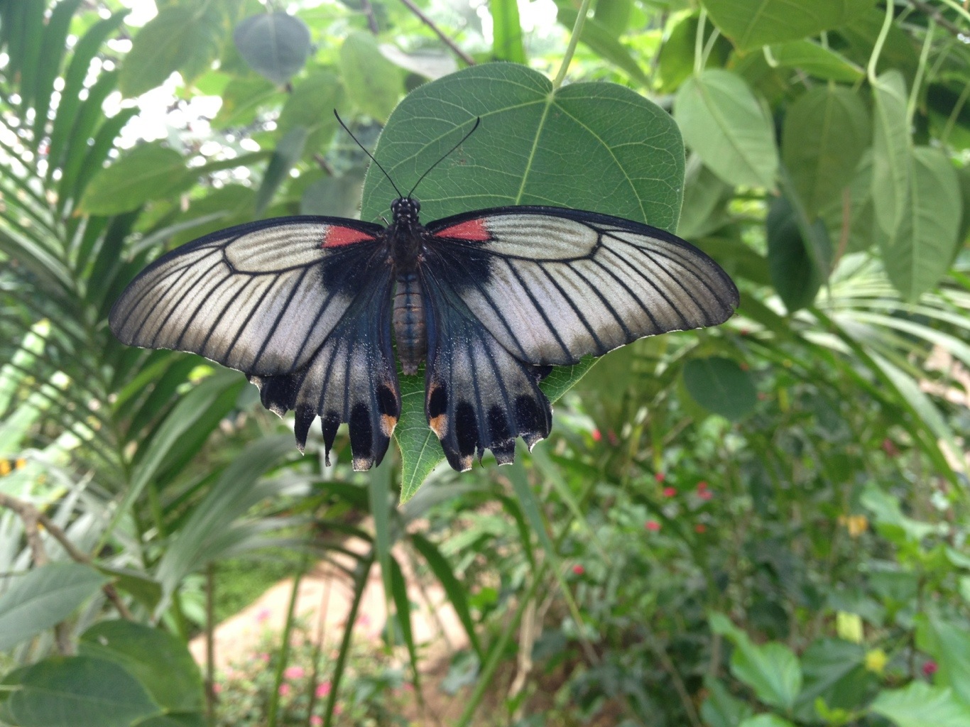 20120714-212518.jpg