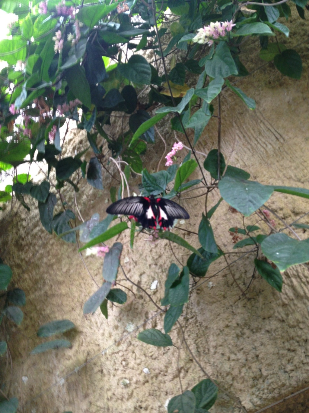 20120714-212836.jpg