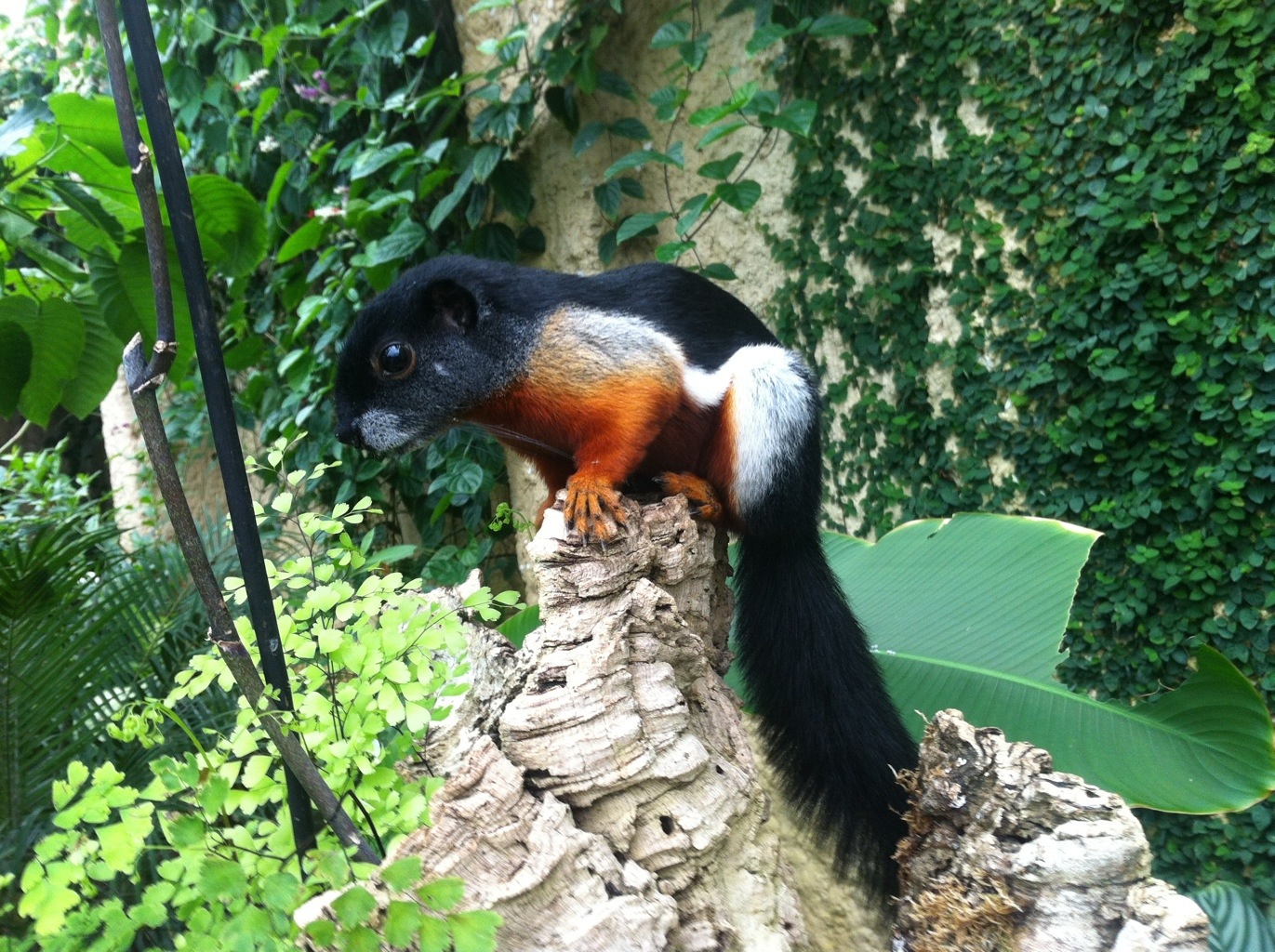 20120716-230756.jpg